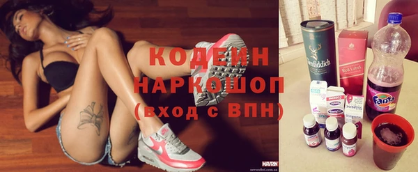 стаф Бородино