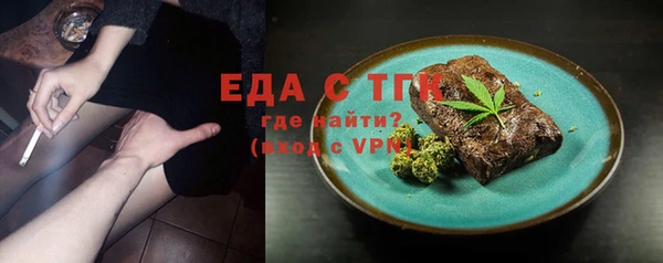 стаф Бородино