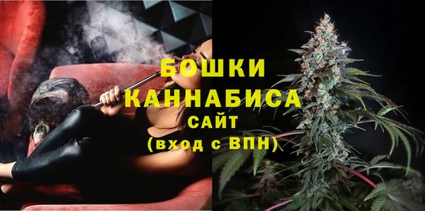 стаф Бородино
