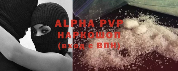 стаф Бородино