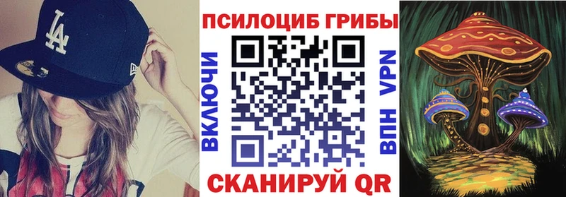 Псилоцибиновые грибы MAGIC MUSHROOMS  Купить где  Княгинино 